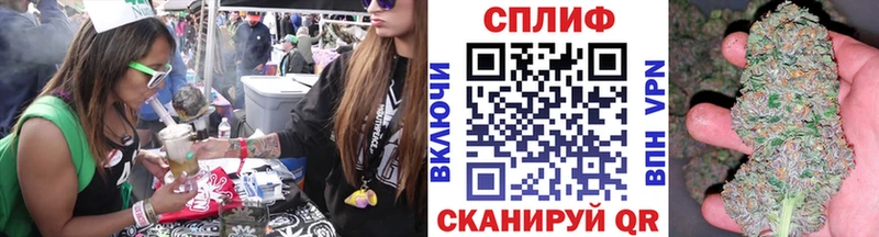 как найти наркотики  Хасавюрт  Бошки Шишки гибрид 